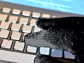 Mit Phishing und Smishing haben sich zwei gefährliche Betrugsmaschen im Netz etabliert. Zu wissen, wie Kriminelle dabei vorgehen ist der beste Schutz!